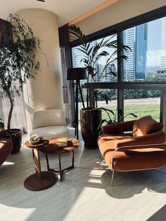 Dicas de decoração para sala plantas.
