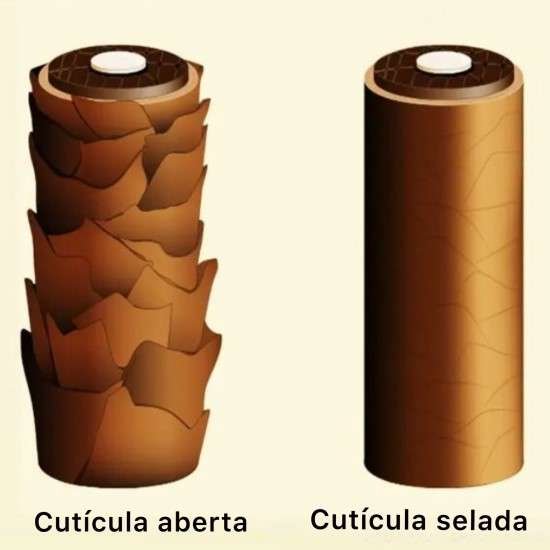 Para quer serve o pré- shampoo.