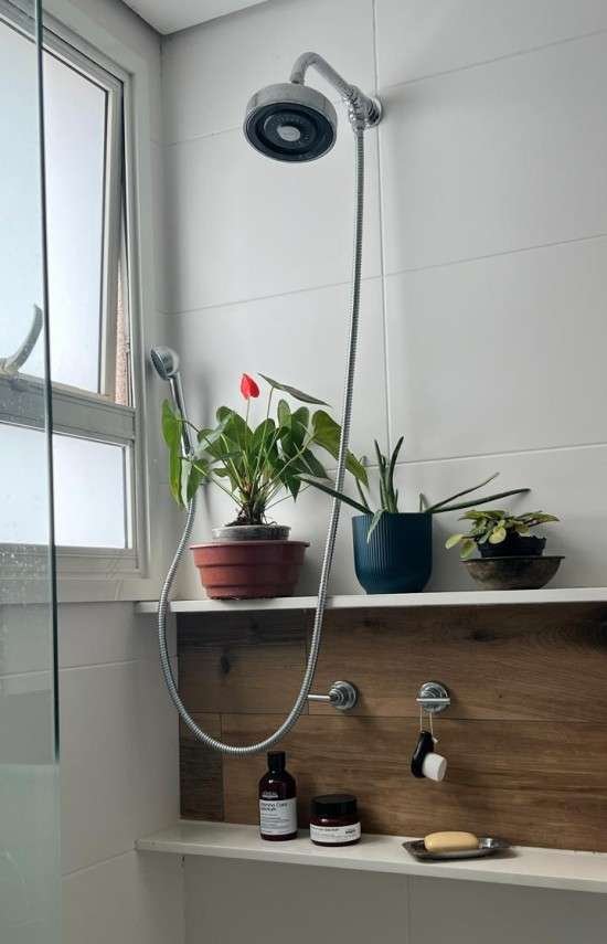 Plantas em casa banheiro.