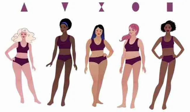 Tipos de corpos femininos.