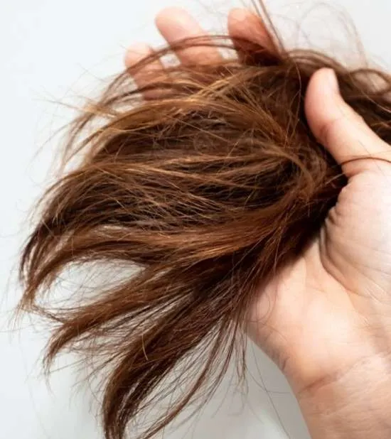 Cabelo poroso como recuperar.